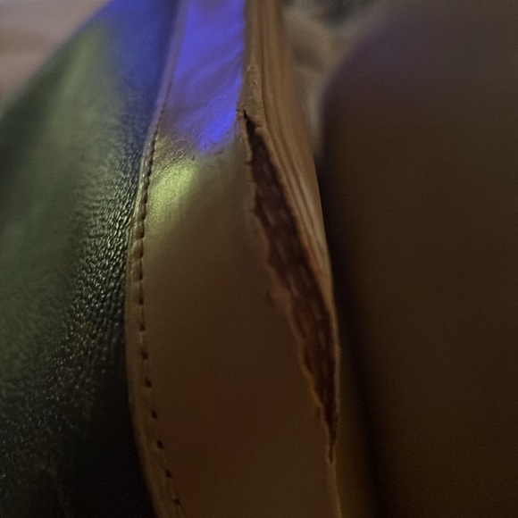 COPY - Louis Vuitton Alma Piurse - Picture 9 of 9